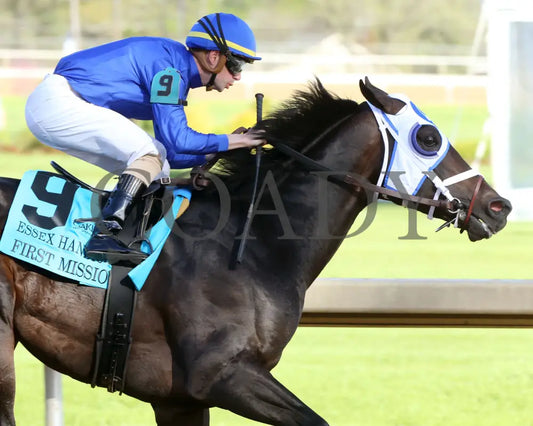 First Mission - The Essex Handicap G3 76 Running 03 - 23 - 24 R09 Op Turn 03 Oaklawn Park
