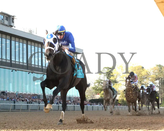 First Mission - The Essex Handicap G3 76 Running 03 - 23 - 24 R09 Op Under Rail 01 Oaklawn Park