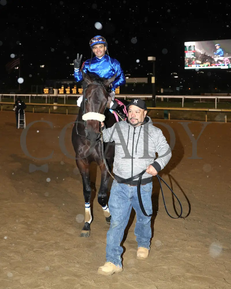 First Resort - The Kentucky Jockey Club G2 11-30-24 R11 Cd Come Back 03 Churchill Downs