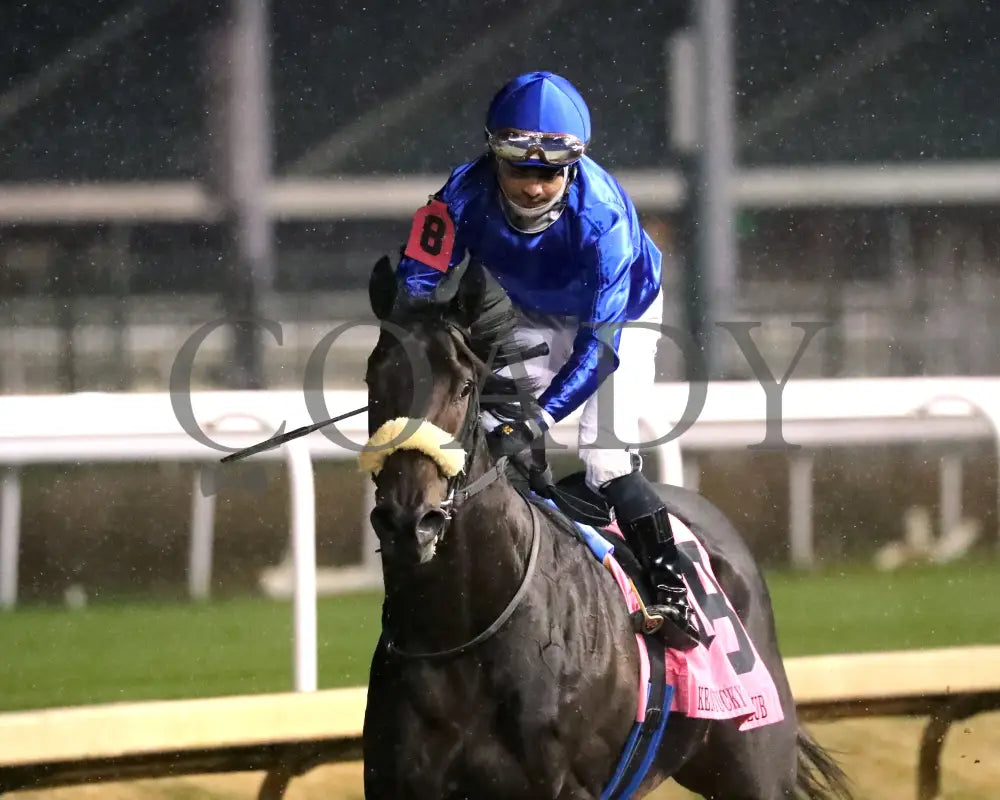 First Resort - The Kentucky Jockey Club G2 11-30-24 R11 Cd Come Back 04 Churchill Downs