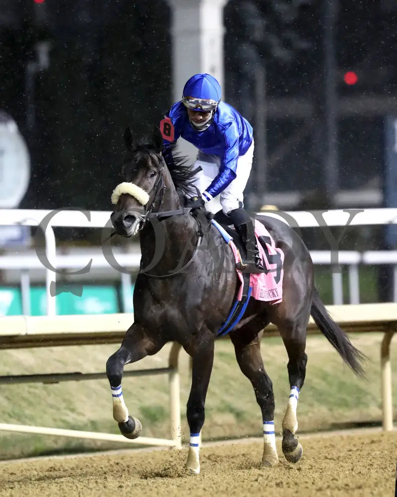 First Resort - The Kentucky Jockey Club G2 11-30-24 R11 Cd Come Back 05 Churchill Downs