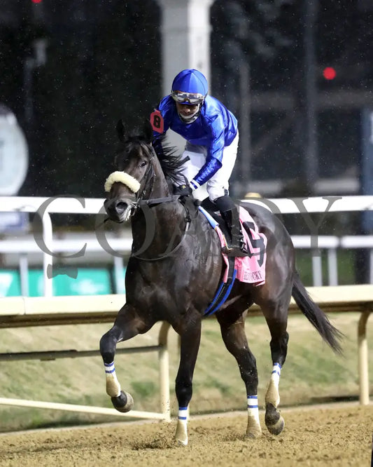 First Resort - The Kentucky Jockey Club G2 11-30-24 R11 Cd Come Back 05 Churchill Downs