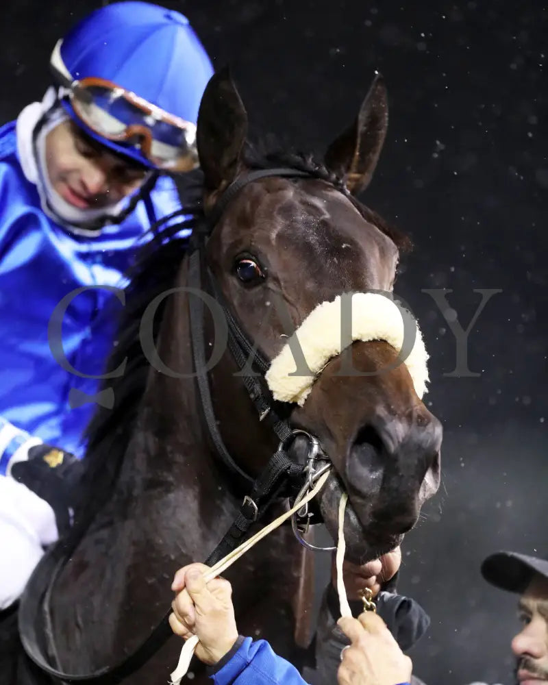 First Resort - The Kentucky Jockey Club G2 11-30-24 R11 Cd Come Back 06 Churchill Downs