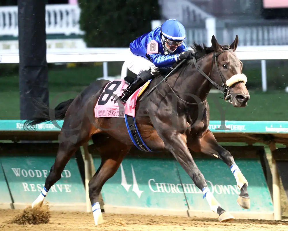 First Resort - The Kentucky Jockey Club G2 11-30-24 R11 Cd Finish 02 Churchill Downs
