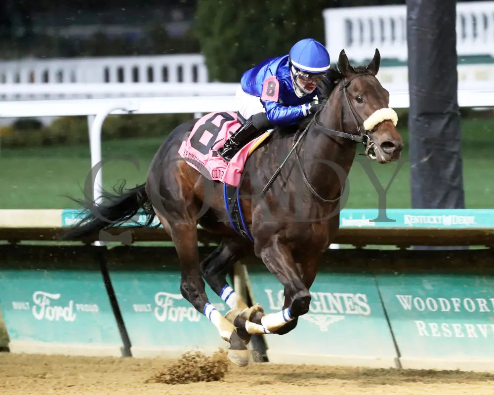 First Resort - The Kentucky Jockey Club G2 11-30-24 R11 Cd Finish 03 Churchill Downs
