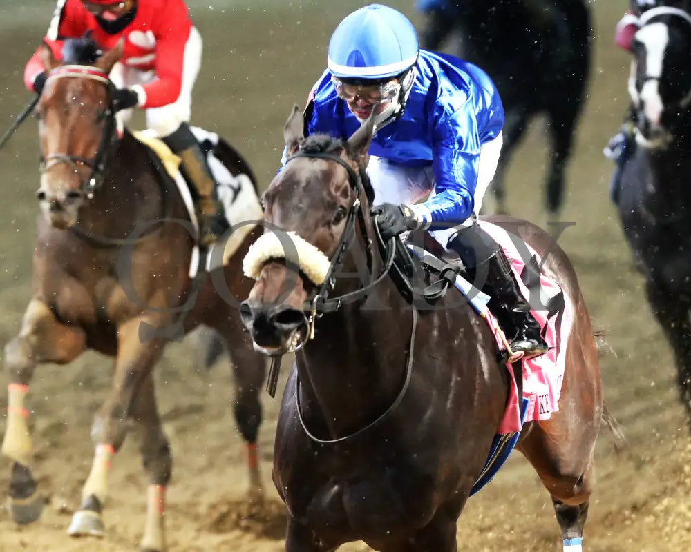 First Resort - The Kentucky Jockey Club G2 11-30-24 R11 Cd Inside Finish 01 Churchill Downs