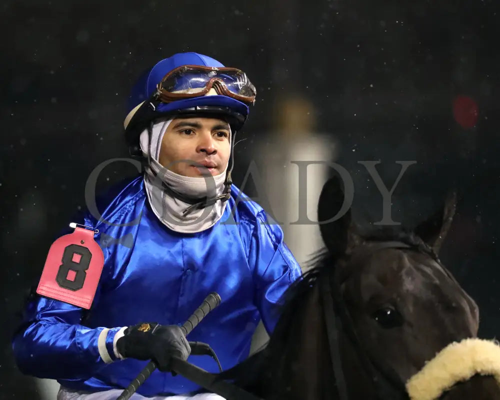 First Resort - The Kentucky Jockey Club G2 11-30-24 R11 Cd Luis Saez 05 Churchill Downs