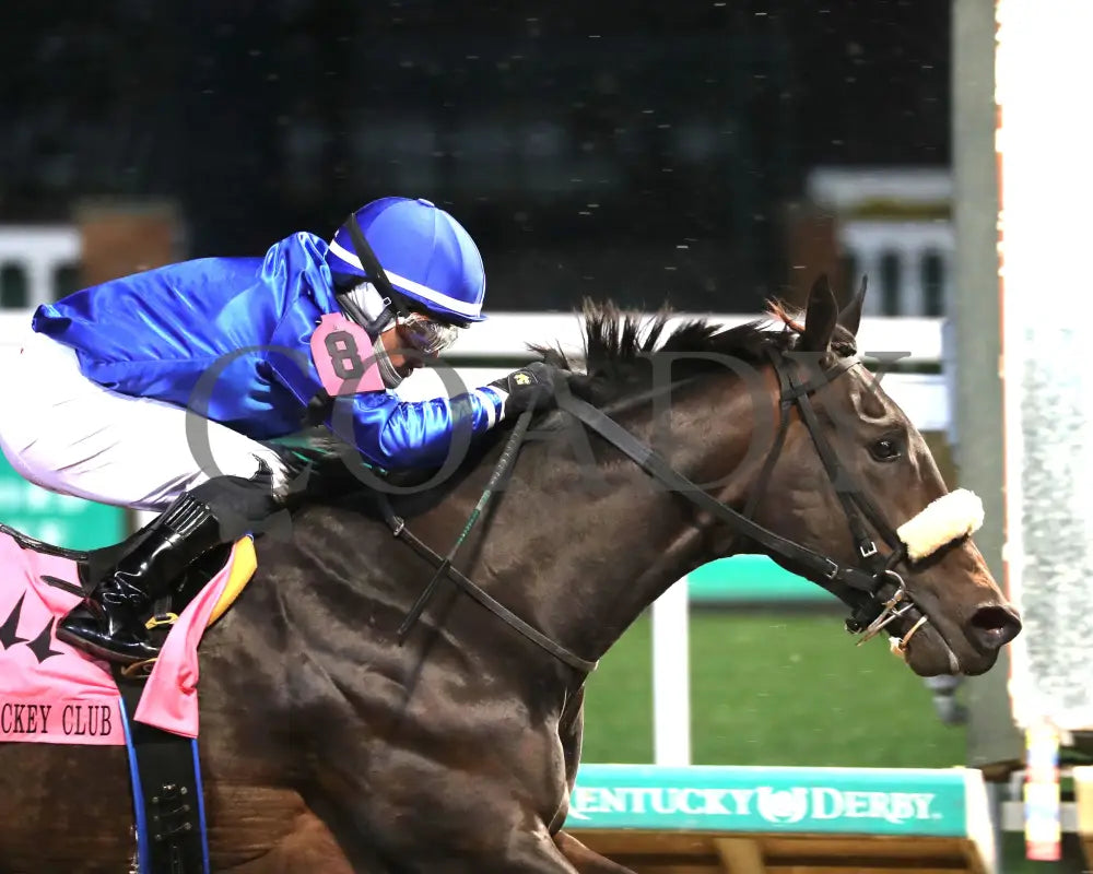 First Resort - The Kentucky Jockey Club G2 11-30-24 R11 Cd Tight Finish 01 Churchill Downs