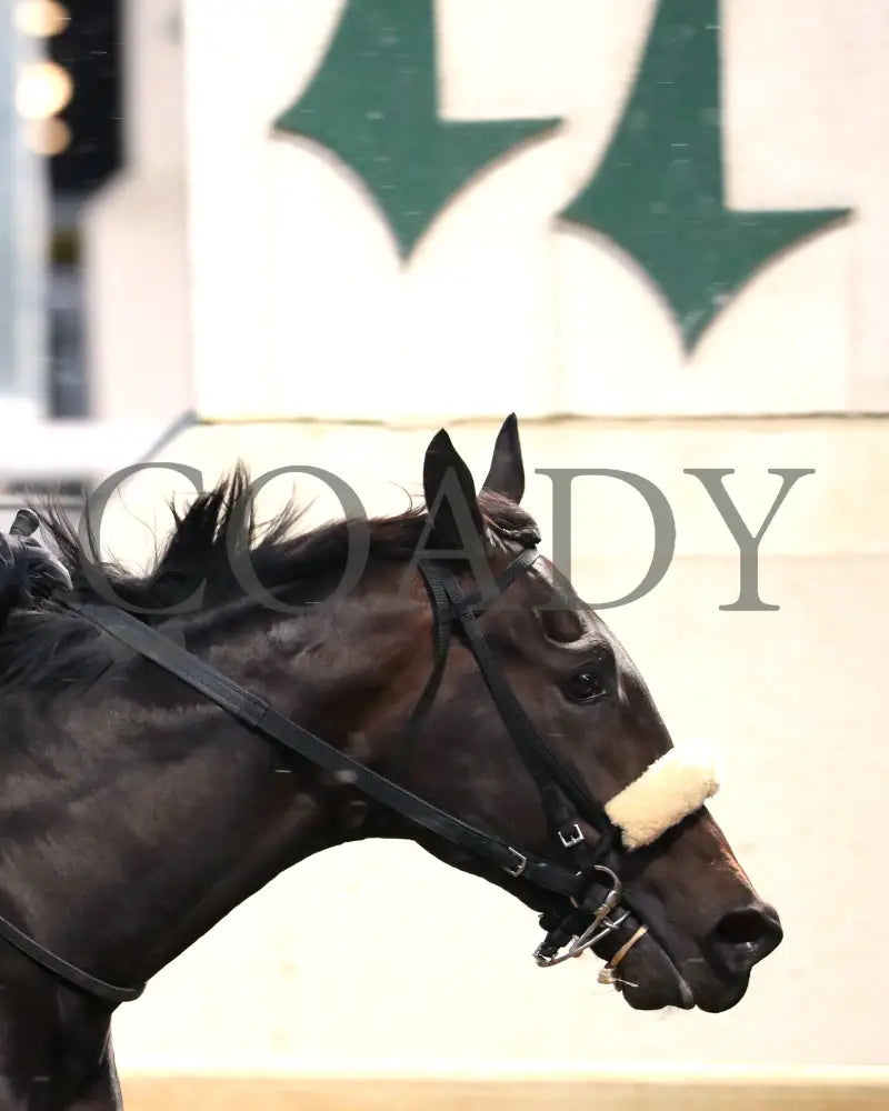 First Resort - The Kentucky Jockey Club G2 11-30-24 R11 Cd Tight Finish 02 Churchill Downs