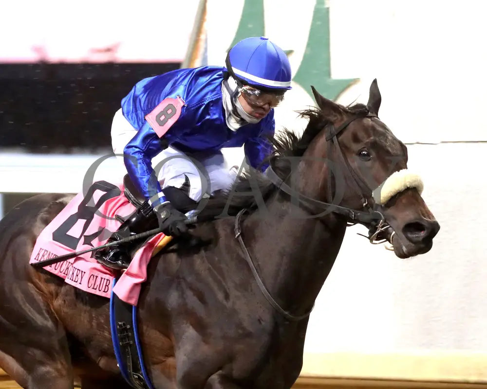 First Resort - The Kentucky Jockey Club G2 11-30-24 R11 Cd Tight Finish 03 Churchill Downs