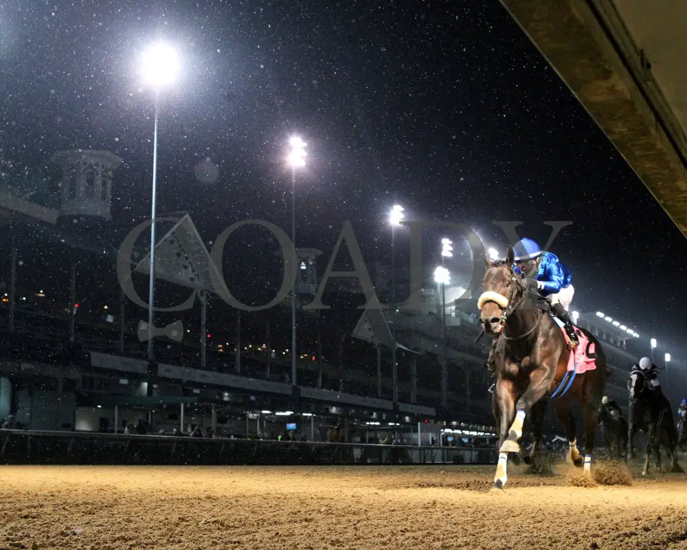First Resort - The Kentucky Jockey Club G2 11-30-24 R11 Cd Under Rail 01 Churchill Downs