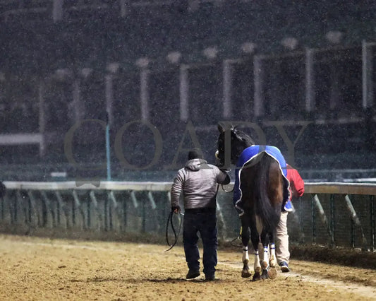 First Resort - The Kentucky Jockey Club G2 11-30-24 R11 Cd Walk Back 01 Churchill Downs