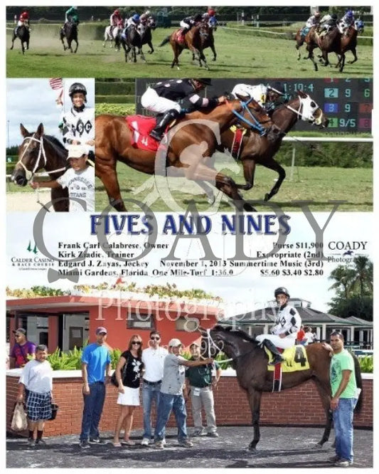 Fives And Nines - 110113 Race 05 Crc Calder Course