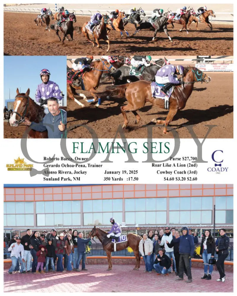 Flaming Seis - 01-19-25 R07 Sun Turfway Park