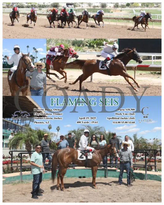 FLAMING SEIS - 04-19-25 - R02 - TUP Turf Paradise