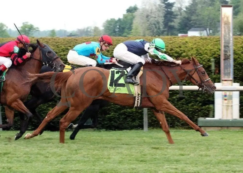 Flash Mash - 042112 Race 08 Fin Keeneland