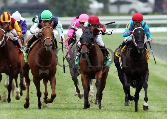Flash Mash - 042112 Race 08 Head On Keeneland