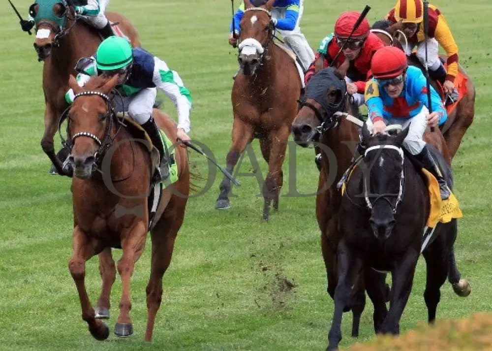 Flash Mash - 042112 Race 08 Inside Fin Keeneland