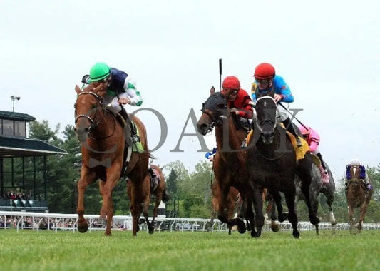 Flash Mash - 042112 Race 08 Under Rail Keeneland