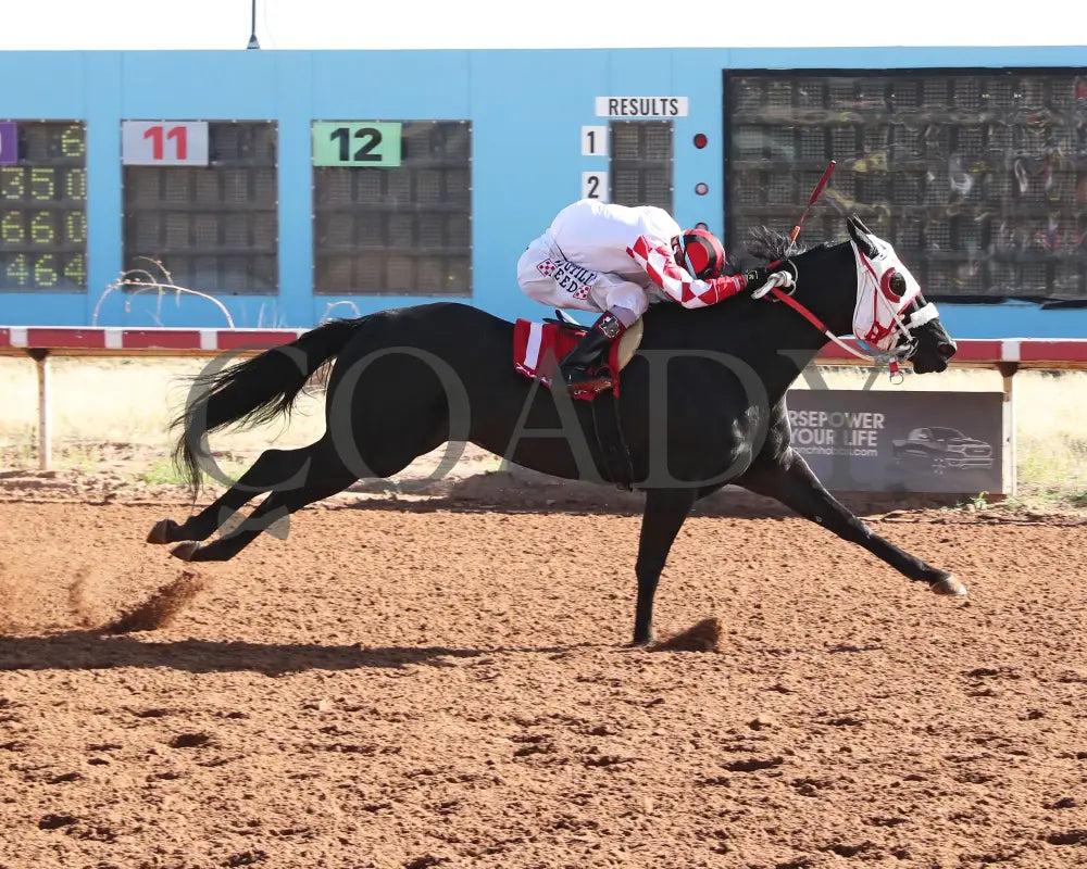 Flashtoglory - New Mexico Classic Quarter Horse Filly And Mare Championship 12-15-24 R05 Zia Park