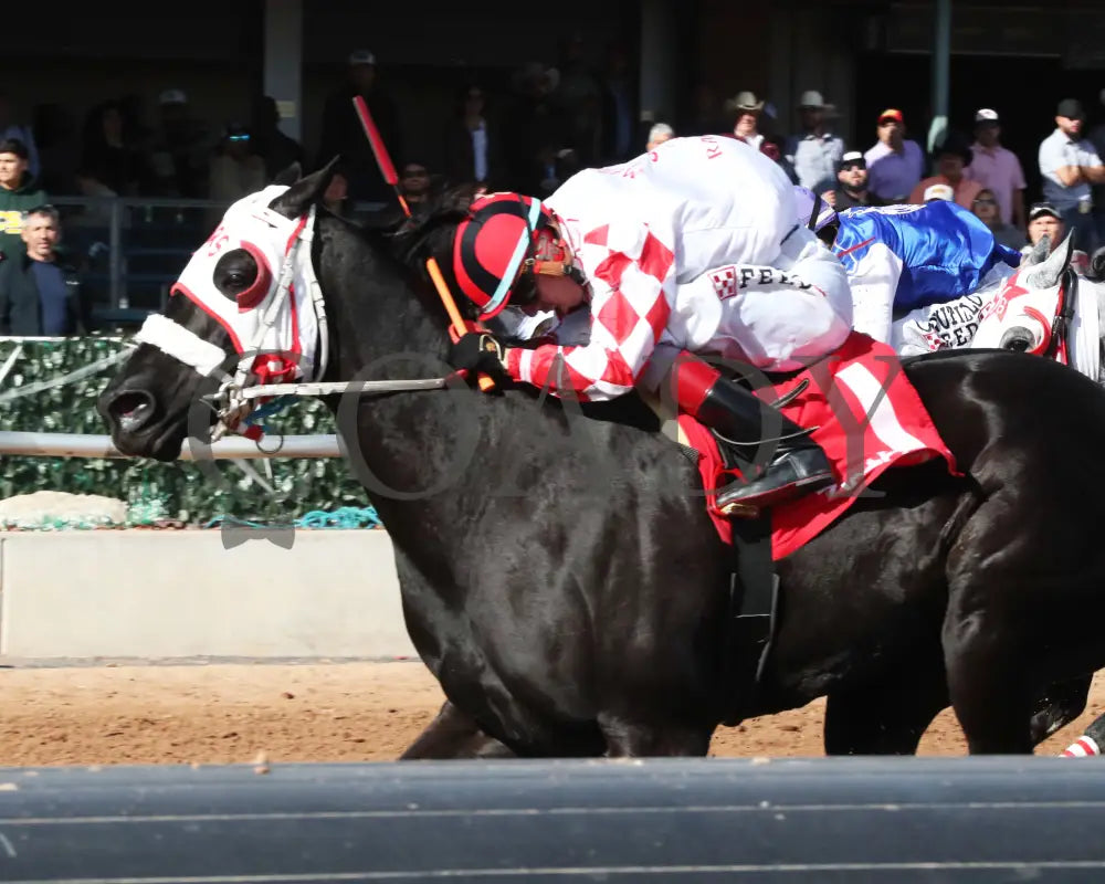 Flashtoglory - New Mexico Classic Quarter Horse Filly And Mare Championship 12-15-24 R05 Zia Park