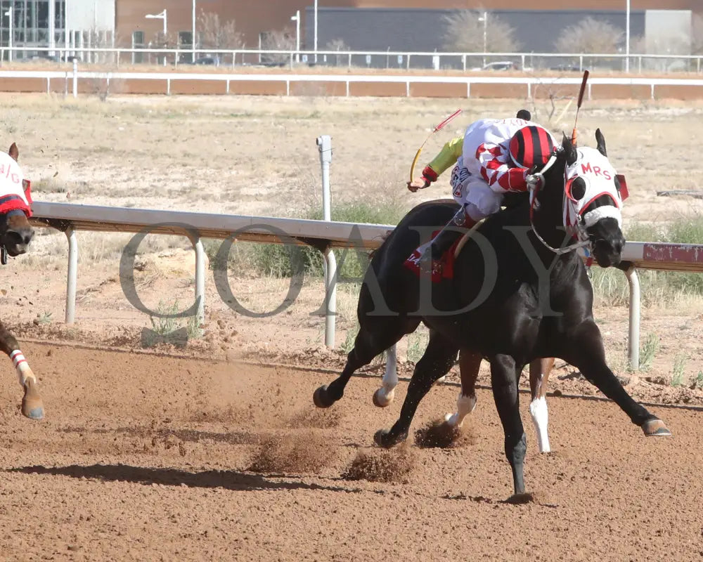 Flashtoglory - New Mexico Classic Quarter Horse Filly And Mare Championship 12-15-24 R05 Zia Park