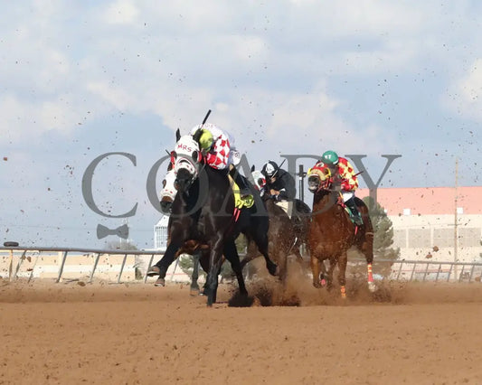 FLASHTOGLORY - New Mexico Classic Quarter Horse Filly and Mare Championship Stakes G1 - 11-23-25 - R07 - Zia Park - Under Rail - Coady Media - Kurtis Coady Photography