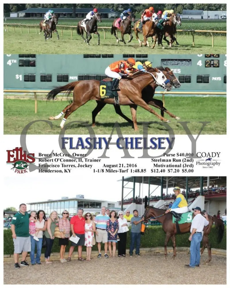 Flashy Chelsey - 082116 Race 08 Elp Ellis Park