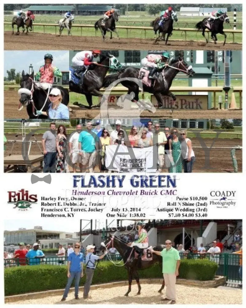 Flashy Green - 071314 Race 05 Elp Ellis Park