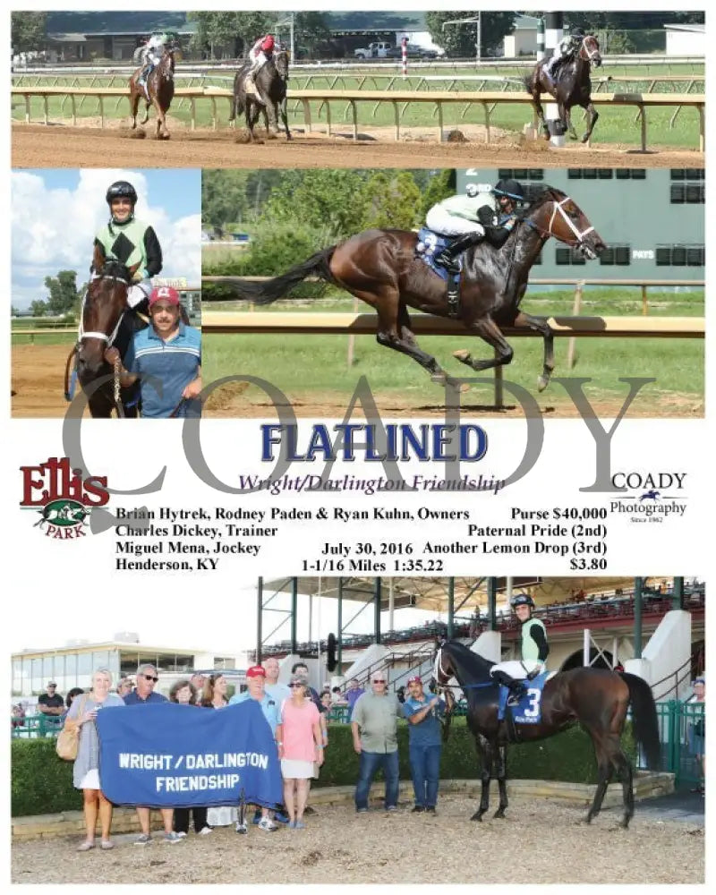 Flatlined - 073016 Race 08 Elp Ellis Park