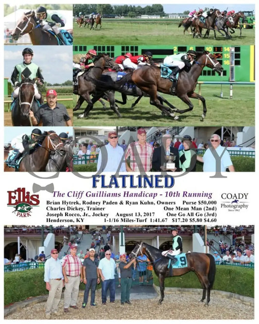 Flatlined - 081317 Race 07 Elp Ellis Park