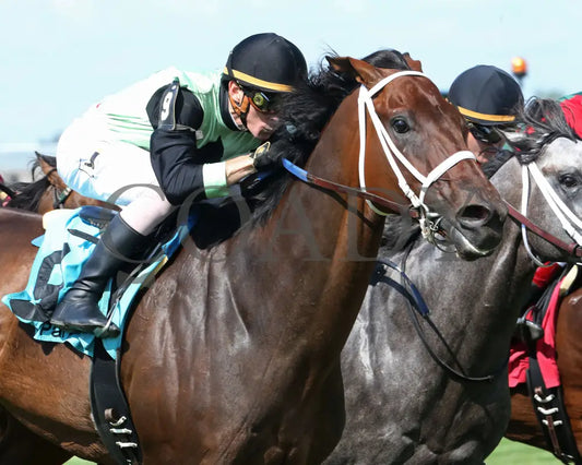 Flatlined - 081317 Race 07 Elp Finish Tight Ellis Park