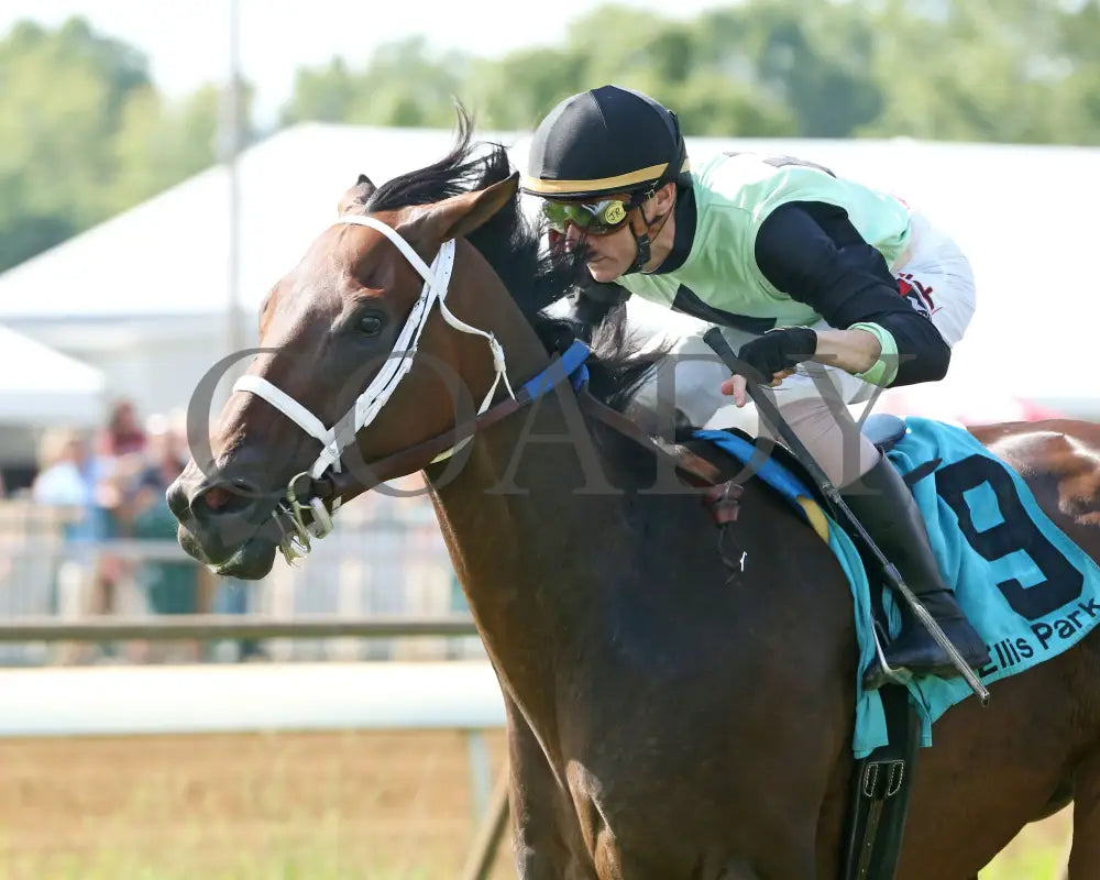 Flatlined - 081317 Race 07 Elp Inside Finish 1 Ellis Park