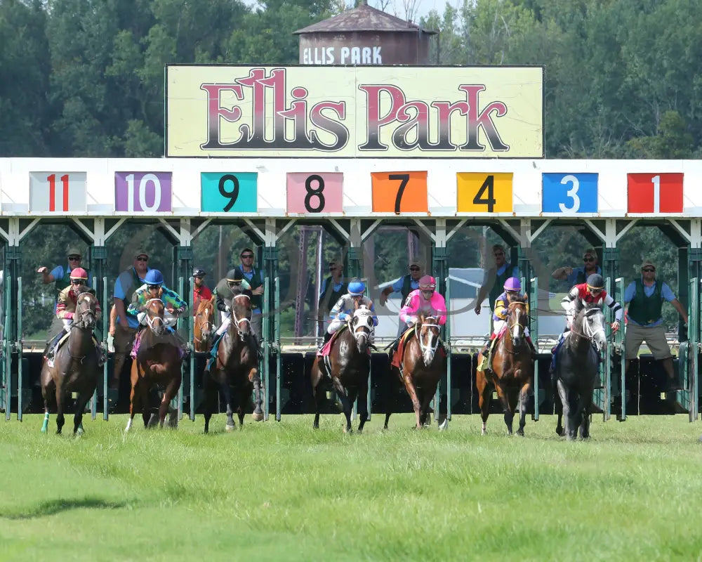 Flatlined - 081317 Race 07 Elp Start 1 Ellis Park