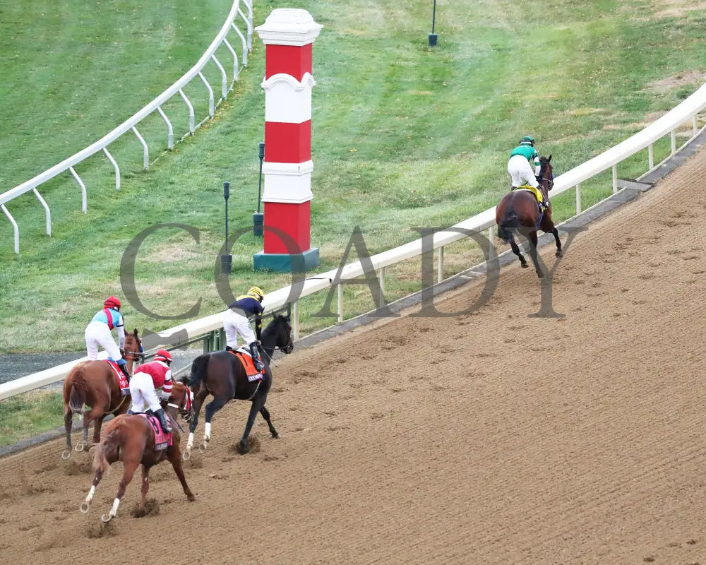 Flightline - Longines Breeders’ Cup Classic G1 39Th Running 11-05-22 R11 Kee Gallop Out 05 Keeneland