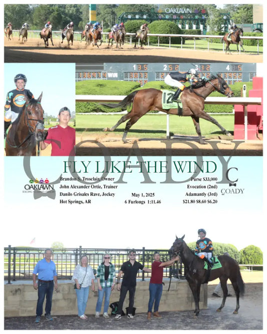 FLY LIKE THE WIND - 05-01-25 - R09 - OP Oaklawn Park