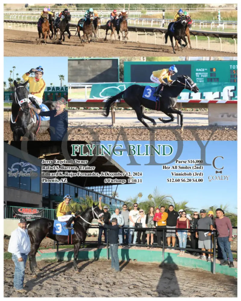 Flying Blind - 12-12-24 R08 Tup Turf Paradise