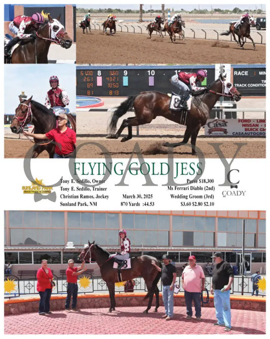 FLYING GOLD JESS - 03-30-25 - R01 - SUN Sunland Park