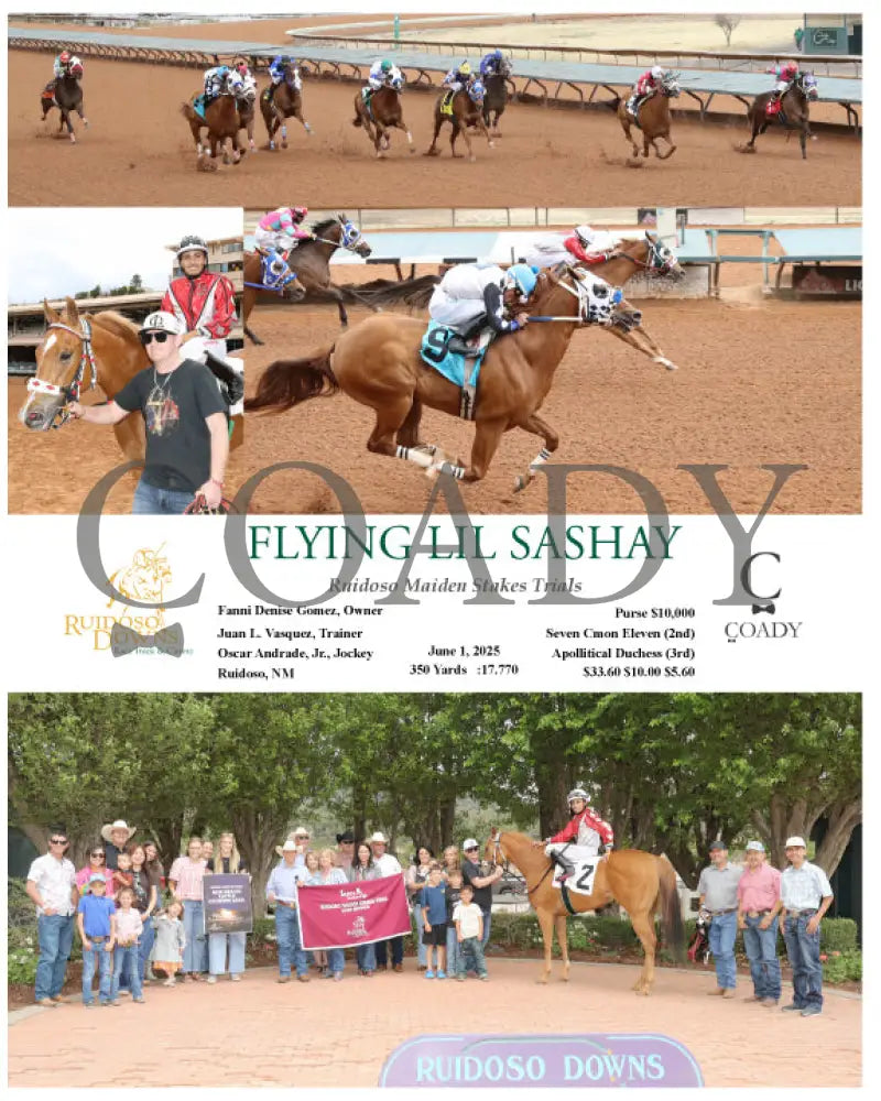 FLYING LIL SASHAY - Ruidoso Maiden Stakes Trials - 06-01-25 - R04 - RUI Ruidoso Downs
