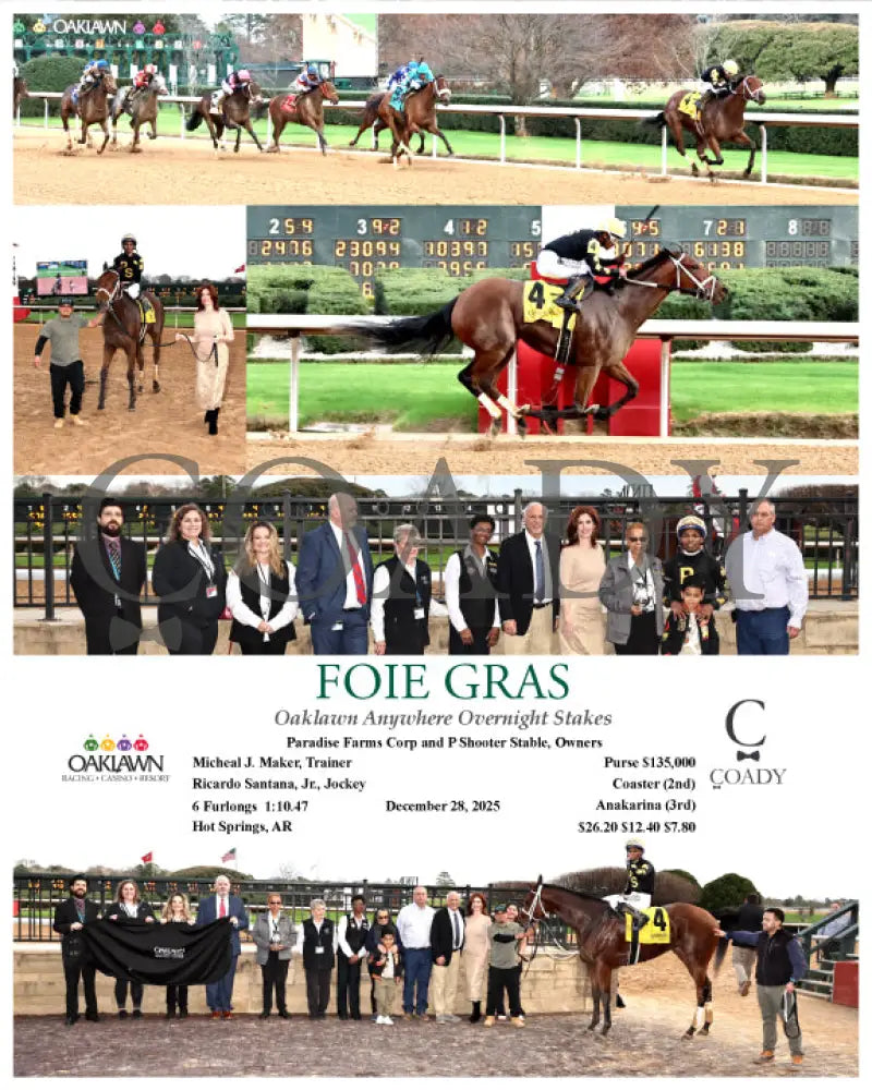 FOIE GRAS - OAKLAWN ANYWHERE OVERNIGHT STAKES - 12-28-25 - R08 - OP - Coady Media - Kurtis Coady Photography