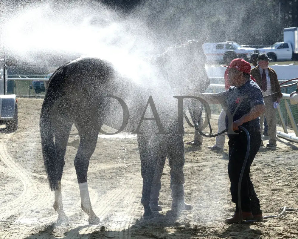 FONDLY - The Virginia Oaks - 1st Running - 03-15-25 - R08 - CNL - Bath 01 Colonial Downs