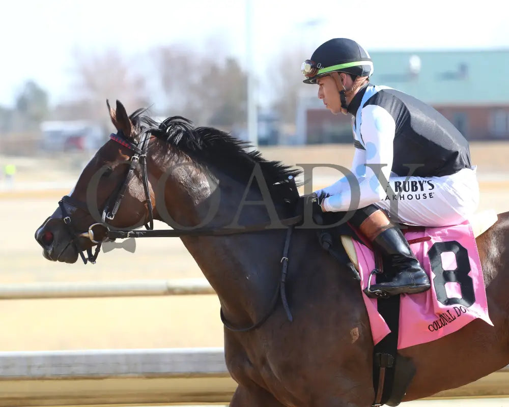 FONDLY - The Virginia Oaks - 1st Running - 03-15-25 - R08 - CNL - Come Back 03 Colonial Downs