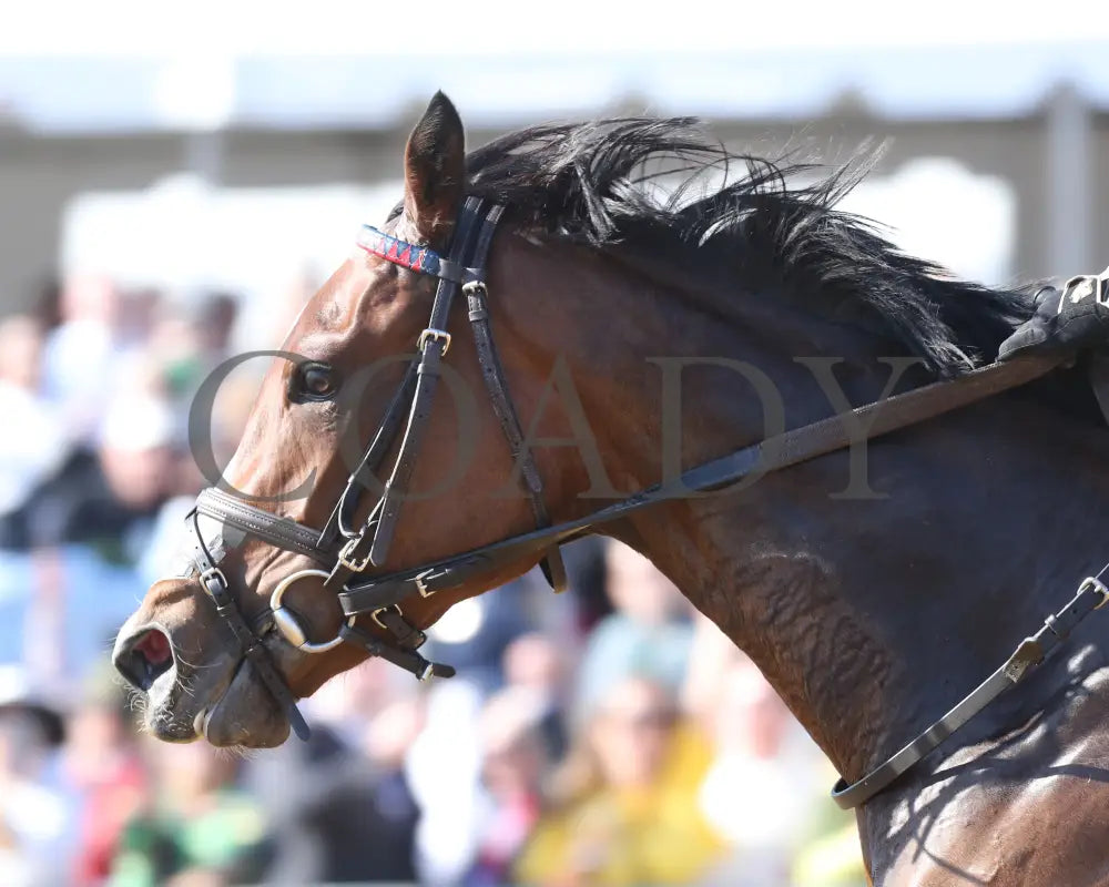FONDLY - The Virginia Oaks - 1st Running - 03-15-25 - R08 - CNL - Inside Finish 04 Colonial Downs