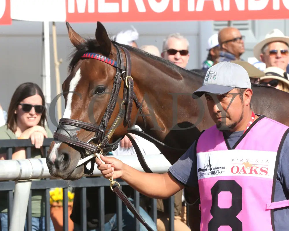 FONDLY - The Virginia Oaks - 1st Running - 03-15-25 - R08 - CNL - Paddock 01 - Coady Media - Kurtis Coady Photography