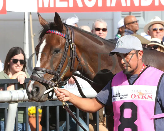FONDLY - The Virginia Oaks - 1st Running - 03-15-25 - R08 - CNL - Paddock 01 - Coady Media - Kurtis Coady Photography