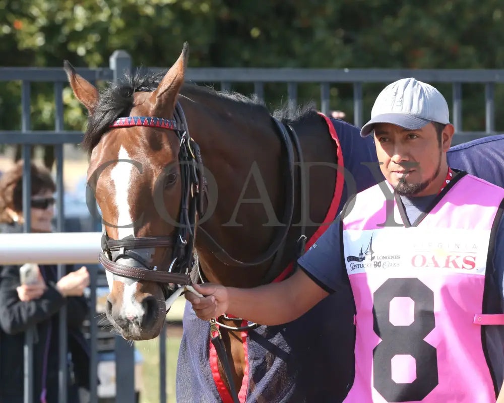 FONDLY - The Virginia Oaks - 1st Running - 03-15-25 - R08 - CNL - Paddock 02 Colonial Downs