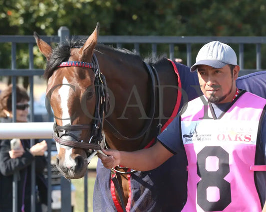 FONDLY - The Virginia Oaks - 1st Running - 03-15-25 - R08 - CNL - Paddock 02 Colonial Downs