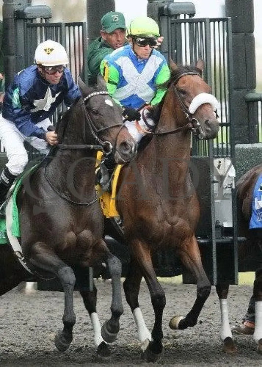 Font - 1 101311 Race 06 Keeneland