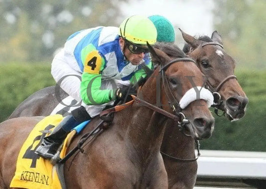 Font - 3 101311 Race 06 Keeneland