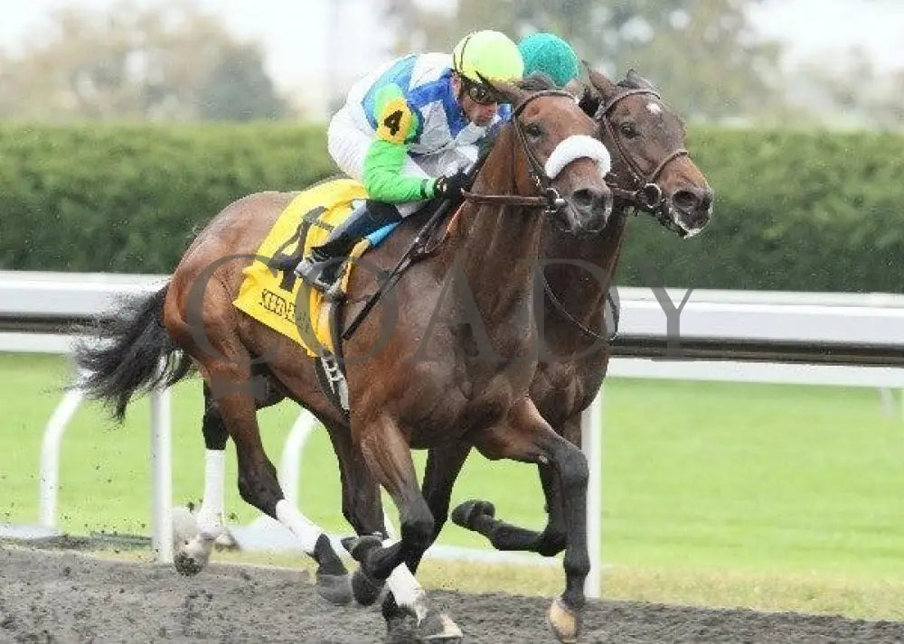 Font - 4 101311 Race 06 Keeneland